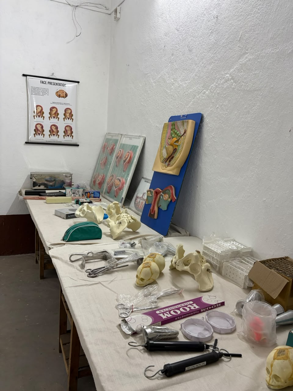 uploads/gallery_1786684322_lab.jpeg